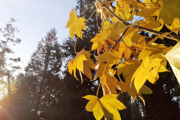 Miłość nigdy nie umiera